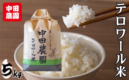 No.007 ߘa7NY@c_e[āi5kgj ^ ߘa7N V    R    Y 5kg 5L e[ Â S i  lC   Yn