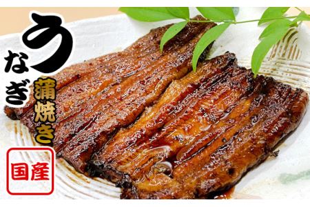 国産鰻　蒲焼き（1人前） No.183
