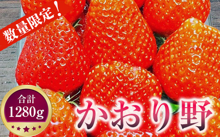 かおり野 いちごの返礼品 検索結果 | ふるさと納税サイト「ふるなび」