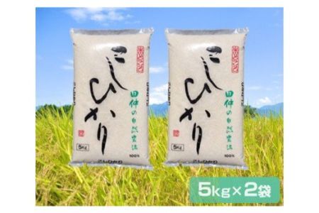 先行予約・新米[令和6年産]特別栽培米 田仲のコシヒカリ 10kg (農薬・化学肥料7割減) (茨城県共通返礼品/稲敷市)|米 おこめ 精米 農家直送 直送 茨城県 [1060]