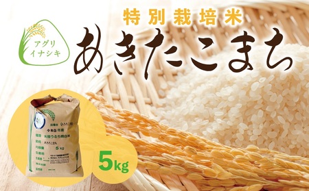 新米[令和6年産]茨城県稲敷市産 特別栽培米 あきたこまち 5kg×1袋|米 おこめ 精米 農家直送 直送 茨城県 [1099]