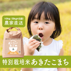 yߘa6NYz~sY ʍ͔| ܂ 10kg (5kg×2)y_ƒz [1670]