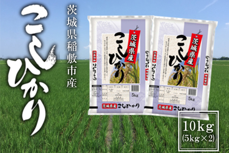 【令和5年産】稲敷市産 コシヒカリ 10kg (5kg×2袋) [0978]