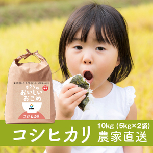 新米[令和7年産]無洗米 コシヒカリ 10kg (5kg×2) 稲敷市産 農家直送|米 こめ コメ ごはん ご飯 [1626]