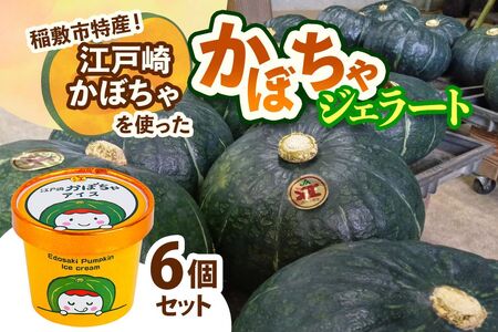 江戸崎かぼちゃを使った「かぼちゃジェラート」6個セット|稲敷市特産 特産 江戸崎かぼちゃ ジェラート かぼちゃスイーツ 濃厚アイス かぼちゃ ひんやりデザート ギフト [1663]