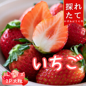 J̊n@3LTCY@@@18(420g)×2pbN_ʕEt[c   C`S _yzsnFEkCEꌧEMzAkECEߋEEElEBz