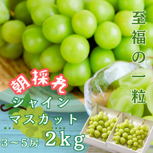 錧݂sYVC}XJbg@2Kg (3`5[)_ʕEt[c ԂǂE}XJbg  uhE  _yzsnFzy1474047z