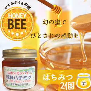 かすみがうら市産『日本みつばち』の純粋はちみつ 150g×2個_調味料 はちみつ ハチミツ 蜂蜜_