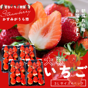 J̊nwqx 3LTCY 11×4pbN_ʕEt[c   C`S _yzsnFEkCEꌧEMzAkECEߋEEElEBz