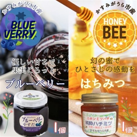 かすみがうら市産　『日本みつばち』の純粋はちみつ ＆ ブルーベリージャム_調味料 はちみつ  ハチミツ 蜂蜜  惣菜・加工品 ジャム 缶詰・瓶詰 _【1489614】