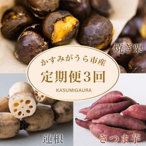 [発送月固定定期便]茨城県 特産品3種全3回[配送不可地域:離島]