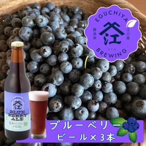 季節限定『霞ヶ浦ブルーベリーエール』3本セット_酒・アルコール ビール _[配送不可地域:離島]