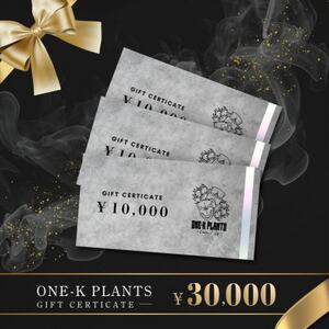 ONE-K PLANTS - ギフト券 - 30,000円_旅行券・チケット   _【1602891】