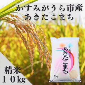 ߘa7NY݂sY܂    10kgy1666719z