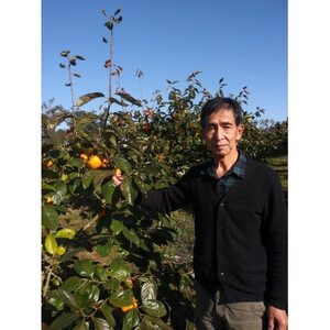 `̒̊`AłÂ爤ĂxL`@3.5kg(10`14)y1473340z