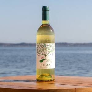 KLEMA 立花ブドウ園 巨峰 2025 白ワイン 750ml×1本