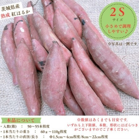 産地直送!生さつまいも「熟成紅はるか」調理しやすい小さめサイズ5kg【1748778】