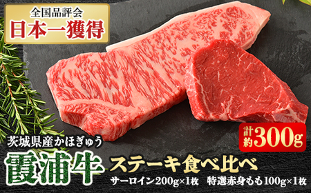 Y(قイ)@Xe[LHה2Zbg(200g×1/100g×1)_ Xe[L  r[tXe[L     _yzsnFzy1364396z