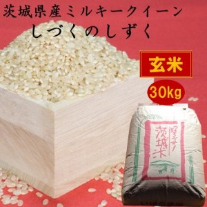 錧Y~L[NC[Â̂30kg()_    R_y1398875z