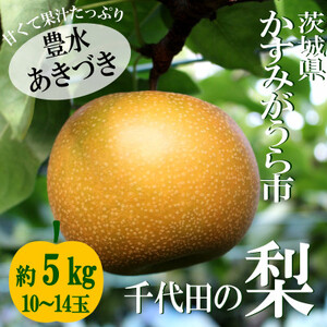 [2025年出荷受付]茨城県 千代田の梨(豊水・秋月いずれか)約5kg_果物・フルーツ 和梨 梨 わなし ワナシ_