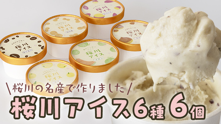 [生産者支援]桜川アイス 6種 6個 セット 数量限定 食べ比べ 90ml×6種類 桜川市のこだわり素材を使用 アイス あいす デザート スイーツ 産地限定 おやつ カップ フレーバー メロン ゆず 蜜芋 コーヒー 栗 茨城県 [SC040sa]