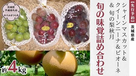 [ 先行予約 ] 茨城県産[ 旬の味覚 ]シャインマスカット クイーンニーナ と ピオーネ と 旬 の梨 秋月詰め合わせ 約4kg (茨城県共通返礼品 かすみがうら市) (2025年9月上旬発送開始) 久保田果樹園 産地直送 フルーツ 甘い 直送 茨城 限定 ギフト ぶどう シャインマスカット クイーンニーナ 秋月 詰め合わせ 食べ比べ 果物 [DH013sa]