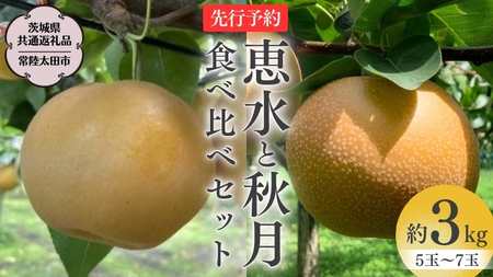 [ 2024年 先行予約 ] 厳選 2種!恵水 と 秋月 の 食べ比べセット 約3kg 5玉〜7玉 [ 茨城県共通返礼品 / 常陸太田市 ] 2024年9月中旬発送 桧山果樹園 フルーツ 甘い 直送 茨城 限定 ギフト 梨 恵水 秋月 旬 贈答 果物[DU019sa]