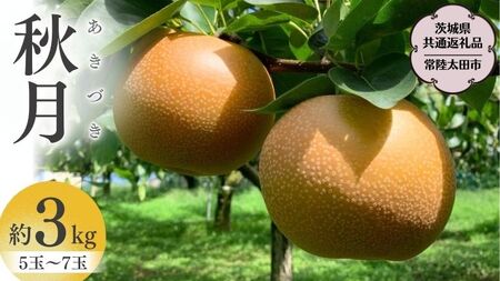 【2025年9月中旬発送開始】 茨城県産 梨 「 秋月 」 約 3kg 5玉 ～ 7玉【茨城県共通返礼品／常陸太田市】 桧山果樹園 農家直送 桧山果樹園 農家直送 フルーツ 甘い 直送 茨城 限定 ギフト 梨 秋月 あきづき 果物 [DU009sa]