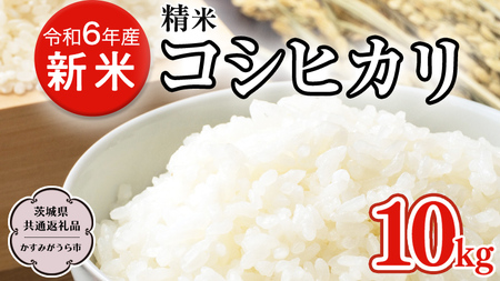 [令和6年産 新米] 精米 茨城県産 コシヒカリ 10kg (茨城県共通返礼品 かすみがうら市) 紙米袋 茨城 新米 精米 コシヒカリ お米 ごはん 直送 [DH020sa]