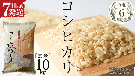 【 令和6年産 】 コシヒカリ 玄米 10kg ( 10kg × 1袋 ) (茨城県共通返礼品 かすみがうら市) 米 ごはん もっちり 甘い コメ お米 玄米 [EX004sa]