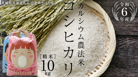 [令和6年産]カルシウム農法米 コシヒカリ 精米 10kg ( 5kg×2袋 ) (茨城県共通返礼品 かすみがうら市) 米 ごはん 粘り ツヤ コメ お米 白米 [EX006sa]