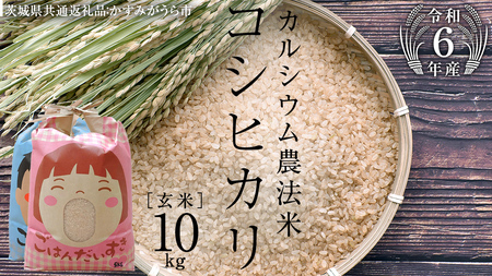 [ 令和6年産 ]カルシウム農法米 コシヒカリ 玄米 10kg ( 5kg × 2袋 ) (茨城県共通返礼品 かすみがうら市) 米 ごはん 粘り ツヤ コメ お米 玄米 [EX008sa]