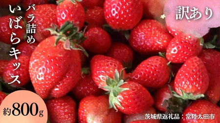 y 󂠂 zy 2026N s\ z  ΂LbX Ղ 800g ol i錧ʕԗi^헤csj 錧i 2026N2甭Jn t[c  C`S  VN ̂ 