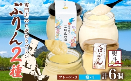 無地熨斗 つくばぷりん プレーン ＆ 三時茶ぷりん 塩 各3個 計6個 冷凍 プリン ぷりん しお スイーツ 洋菓子 おやつ 冷菓 ご褒美 デザート 専門店 和スイーツ 人気 グルメ お取り寄せ ギフト プレゼント 贈り物 つくば 石垣島 三時茶 送料無料 ふじ屋 茨城県 桜川市 [EW028sa]