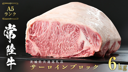 헤 A5  T[C ubN 6kg ( 錧ʕԗi )  Xe[L јa Yјa a Y     Ђ [CD044sa]