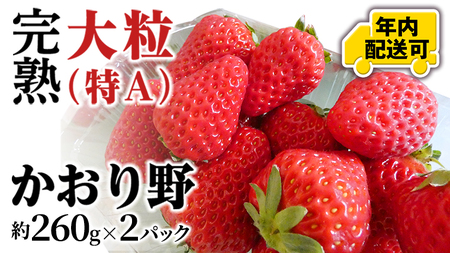 y12/17܂ł̐\ŔNɂ͂Iz n  260g×2pbN N͂ Y  C`S  ʕ t[c 錧Y KEK[BC081sa]