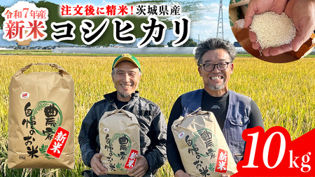 yߘa7Nz錧Y RVqJ 10kg ߘa7NY V Pꌴ    R  Ђ 錧 [BC083sa]