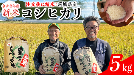 [令和6年新米]茨城県産 コシヒカリ 5kg 令和6年産 新米 単一原料米 精米 米 お米 コメ 白米 こしひかり 茨城県 [BC084sa]