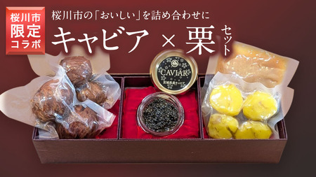 [ 桜川市 限定 コラボ ]『 キャビア と 筑波嶺栗 』 キャビア20g 栗きんとん 180g 渋皮煮4個 スタージョンキャビア 栗 栗きんとん マロン 渋皮煮 お祝い お歳暮 お正月 おせち 贈答品 贈り物 ギフト [BR020sa]