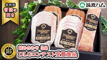 }gn DLGReXg܏i lߍ킹 ( [Xn 140g x[R 230g EBi[ 200g ) ( 錧ʕԗi )    hCc ߂邾  [EN021sa]