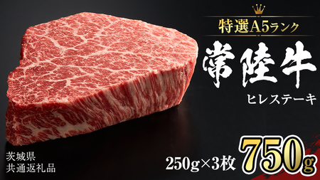 y 헤 I A5 z q Xe[L 250g × 3 (v 750g )i錧ʕԗij 錧Y q  q q Xe[L 헤 䏤X