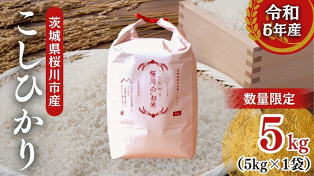 【生産者支援】 《令和6年産》茨城県 桜川市産 こしひかり5kg 茨城県産 桜川 米 お米 白米 コメ ごはん 精米 コシヒカリ 国産 限定 [SC051sa]