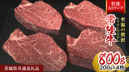 y헤IA5zVg[uA 200g × 4 (800g) ( 錧ʕԗi ) A5N Ђイ  uh  a Y qXe[L Xe[L 󏭕 Ⓚ [CD081sa]