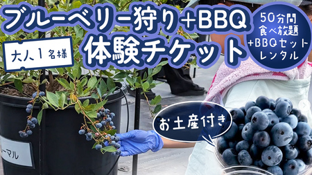 [寄附受付は2025年8月5日まで] ブルーベリー狩り + DAYキャンプ 体験チケット [大人1名様プラン レンタルBBQ道具+お土産付き] ブルーベリー ベリー 食べ比べ 食べ放題 収穫 収穫体験 キャンプ BBQ バーベキュー 肉 旅行 レンタル 体験 チケット 招待券 レジャー 観光 ふれあい お土産 おみやげ 持ち帰り テイクアウト 多品種 果実 果物 くだもの フルーツ 自然 農業 茨城県 桜川市 [DZ012sa]