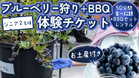 [寄附受付は2025年8月5日まで] ブルーベリー狩り + DAYキャンプ 体験チケット [シニア2名様プラン レンタルBBQ道具+お土産付き] ブルーベリー ベリー 食べ比べ 食べ放題 収穫 収穫体験 キャンプ BBQ バーベキュー 肉 旅行 レンタル 体験 チケット 招待券 レジャー 観光 シニア ふれあい お土産 おみやげ 持ち帰り テイクアウト 多品種 果実 果物 くだもの フルーツ 自然 農業 茨城県 桜川市 [DZ017sa]