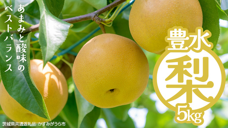 豊水 約5kg（茨城県共通返礼品：かすみがうら市） [FF004sa]