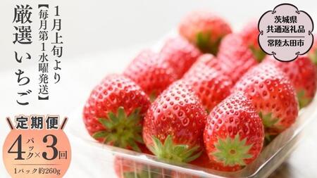 [2026年 先行予約][定期コース]厳選いちご 4パック×3回[第1水曜発送](茨城県共通返礼品/常陸太田市) 2026年1月発送開始 フルーツ 苺 イチゴ いちご 新鮮 朝採れ 茨城県 桧山FRUITFARM [DY006sa]