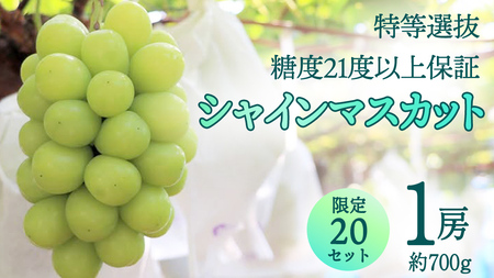 特等選抜 シャインマスカット( 約700g / 糖度21度以上保証 )[限定20セット] 桜川市産 弓削ぶどう園 ぶどう 葡萄 果物 フルーツ 産地直送 数量限定 [AC005sa]