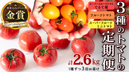 [ 3回定期便 ] 厳選 フルーツトマト 3品種セット( 毎月1種ずつお届け ) [BC091sa]