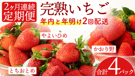 [2ヵ月連続] 採れたて完熟いちご 定期便(260g×2パック×2回/12月・1月お届け) [BC092sa]